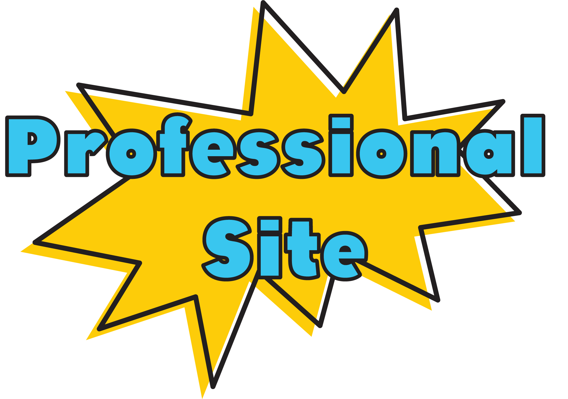 Web Design Services - Professional Site