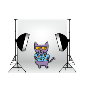 Photography - Headshot